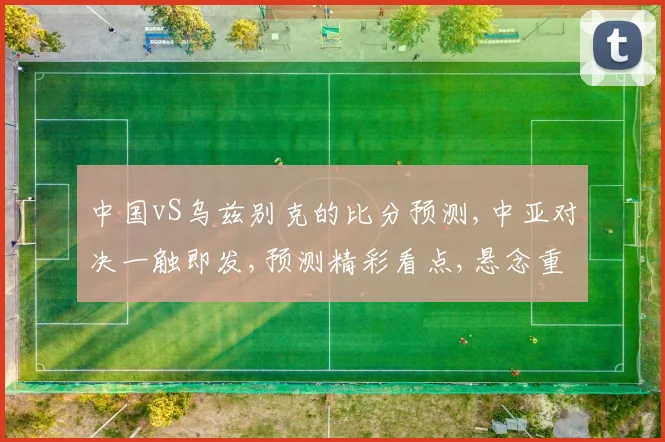 中国vS乌兹别克的比分预测,中亚对决一触即发,预测精彩看点,悬念重重逗你心弦