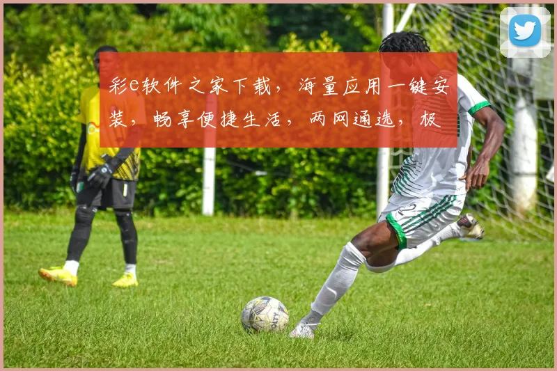 彩e软件之家下载，海量应用一键安装，畅享便捷生活，两网通选，极速下载，必备神器