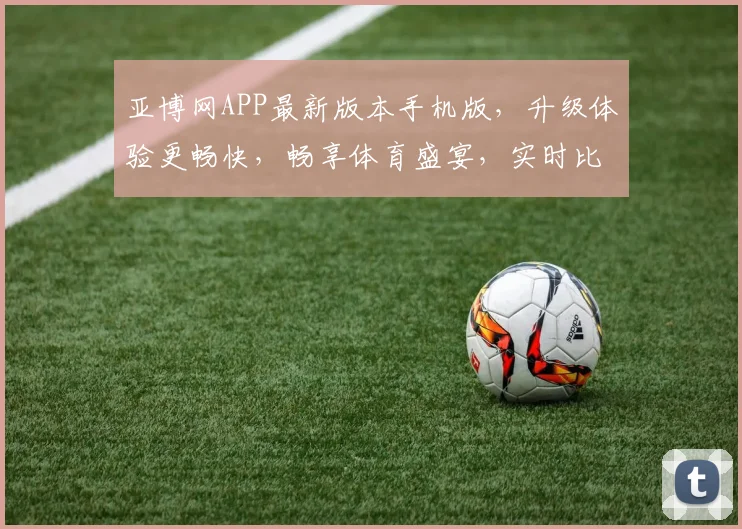 亚博网APP最新版本手机版，升级体验更畅快，畅享体育盛宴，实时比分一触即达
